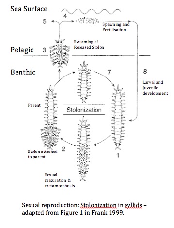 figure image